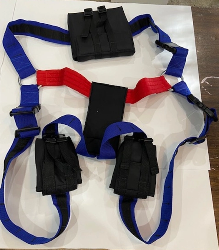 Custom sheep harness and cases for Molle system